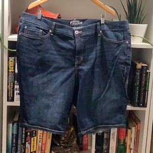 Plus denim shorts torrid size 24
